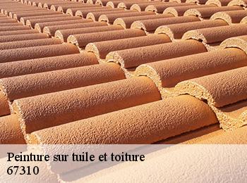 Peinture sur tuile et toiture  67310