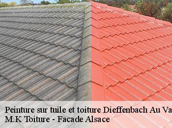 Peinture sur tuile et toiture