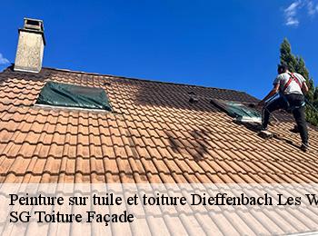 Peinture sur tuile et toiture  67360