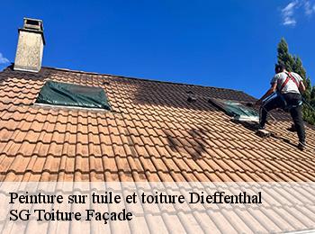 Peinture sur tuile et toiture  67650