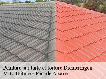 Peinture sur tuile et toiture
