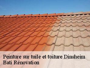 Peinture sur tuile et toiture  dinsheim-67190 Bati Rénovation