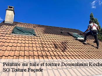 Peinture sur tuile et toiture 67117