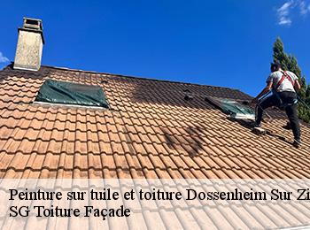 Peinture sur tuile et toiture  67330