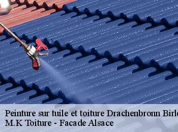 Peinture sur tuile et toiture  drachenbronn-birlenbach-67160 M.K Toiture - Facade Alsace