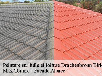 Peinture sur tuile et toiture