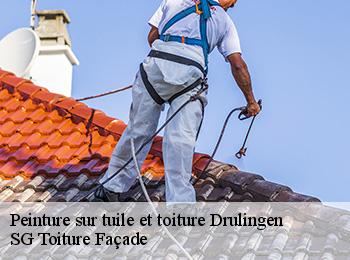 Peinture sur tuile et toiture