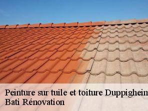 Peinture sur tuile et toiture duppigheim-67120 Bati Rénovation