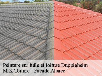 Peinture sur tuile et toiture