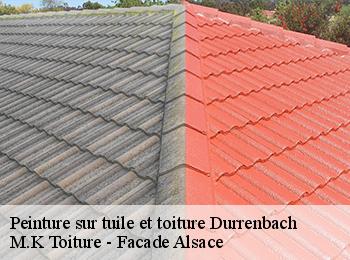 Peinture sur tuile et toiture