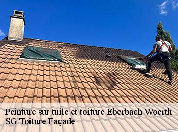 Peinture sur tuile et toiture  67110