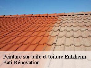 Peinture sur tuile et toiture entzheim-67960 Bati Rénovation