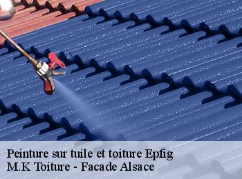 Peinture sur tuile et toiture  epfig-67680 M.K Toiture - Facade Alsace