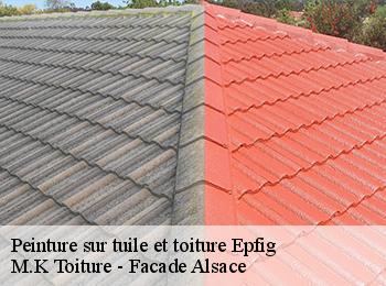 Peinture sur tuile et toiture