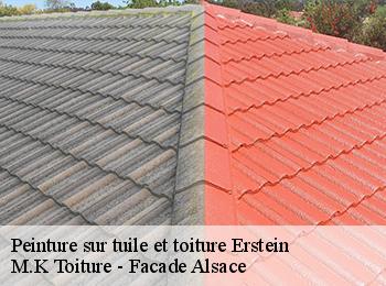 Peinture sur tuile et toiture