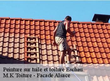 Peinture sur tuile et toiture  67114