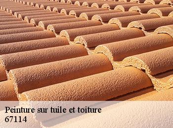 Peinture sur tuile et toiture 67114