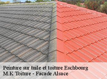 Peinture sur tuile et toiture