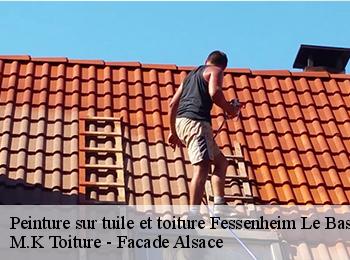 Peinture sur tuile et toiture  67117