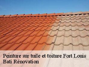 Peinture sur tuile et toiture  fort-louis-67480 Bati Rénovation