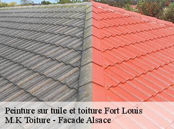 Peinture sur tuile et toiture