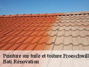 Peinture sur tuile et toiture  froeschwiller-67360 Bati Rénovation