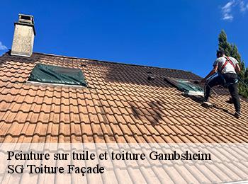 Peinture sur tuile et toiture  67760