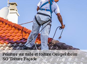 Peinture sur tuile et toiture