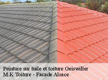 Peinture sur tuile et toiture