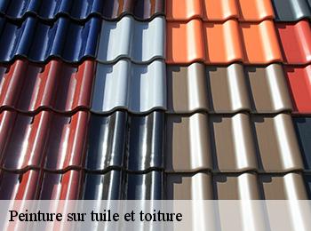 Peinture sur tuile et toiture  67140