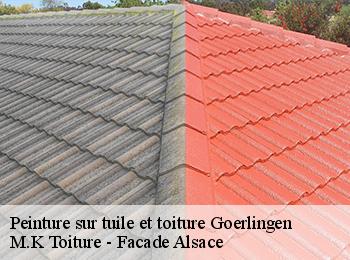 Peinture sur tuile et toiture