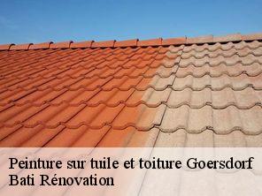Peinture sur tuile et toiture  goersdorf-67360 Bati Rénovation