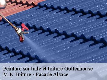 Peinture sur tuile et toiture  gottenhouse-67700 M.K Toiture - Facade Alsace