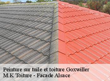 Peinture sur tuile et toiture