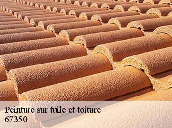 Peinture sur tuile et toiture 67350