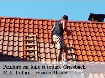Peinture sur tuile et toiture  67110
