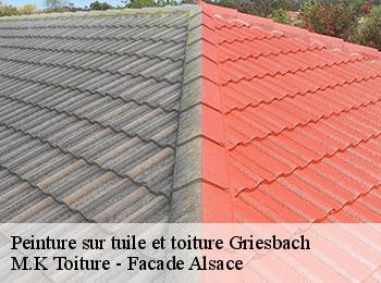 Peinture sur tuile et toiture