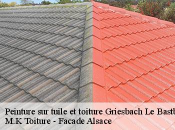 Peinture sur tuile et toiture
