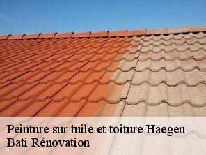 Peinture sur tuile et toiture  haegen-67700 Bati Rénovation