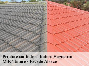 Peinture sur tuile et toiture