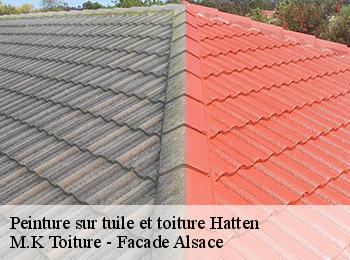 Peinture sur tuile et toiture