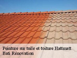 Peinture sur tuile et toiture hattmatt-67330 Bati Rénovation