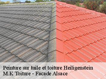 Peinture sur tuile et toiture