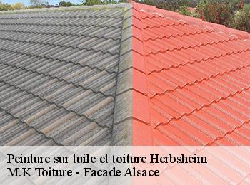Peinture sur tuile et toiture