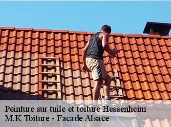 Peinture sur tuile et toiture  67390