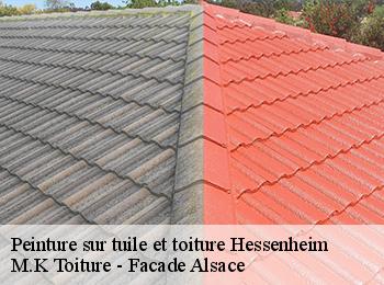 Peinture sur tuile et toiture