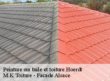 Peinture sur tuile et toiture