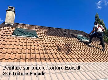 Peinture sur tuile et toiture 67720