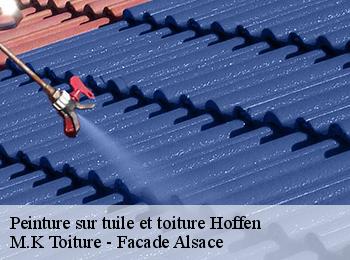 Peinture sur tuile et toiture  hoffen-67250 M.K Toiture - Facade Alsace
