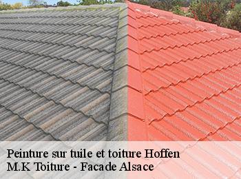 Peinture sur tuile et toiture